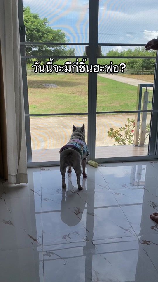 TikTok video thumbnail by mr.hitttlerrr