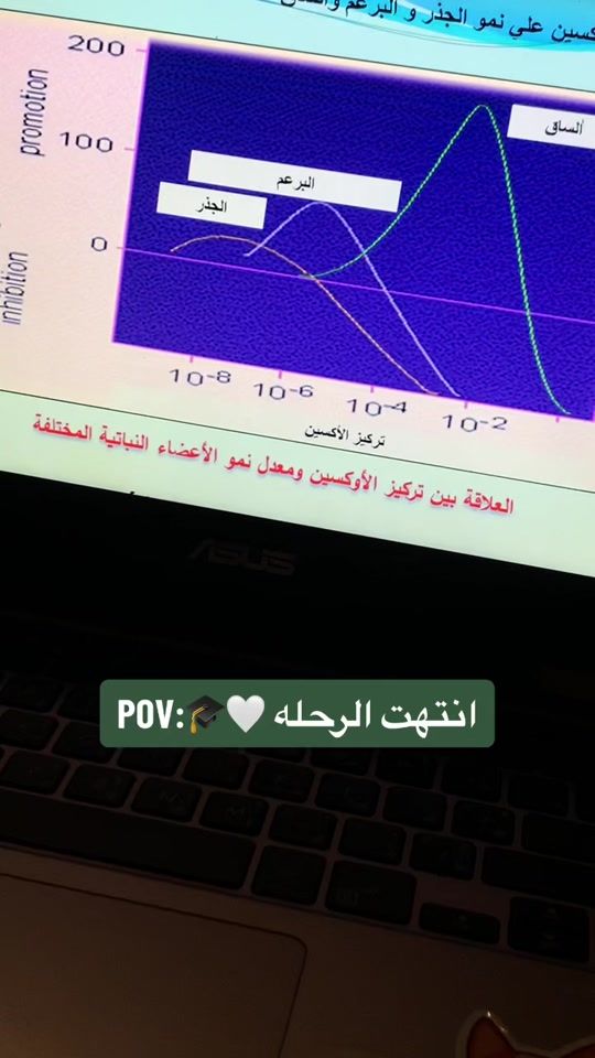TikTok video thumbnail by shaden_244