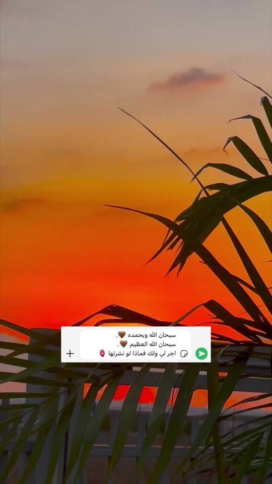 TikTok video thumbnail by _bdwe_5