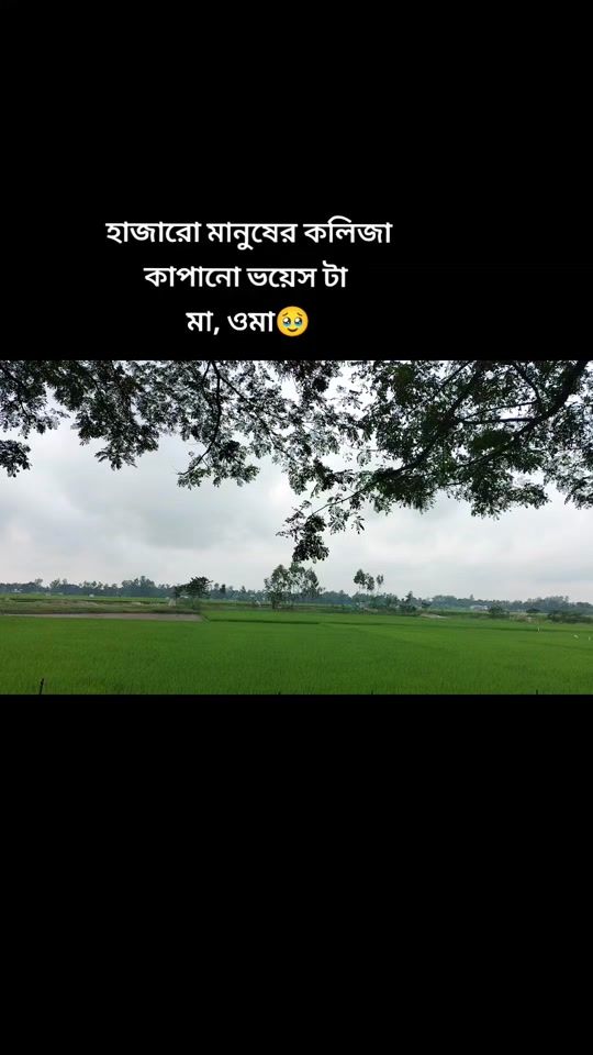 TikTok video thumbnail by ananna7788