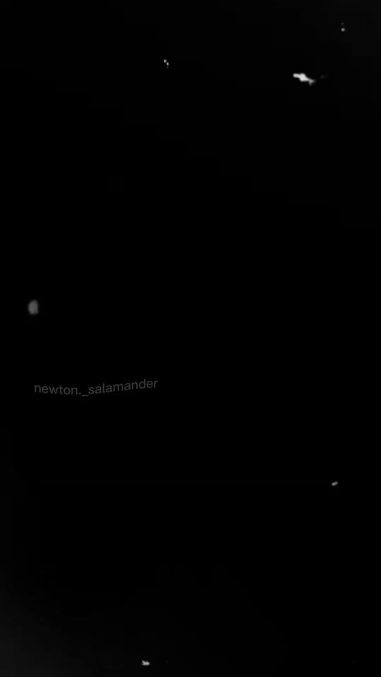 TikTok video thumbnail by newton._salamander