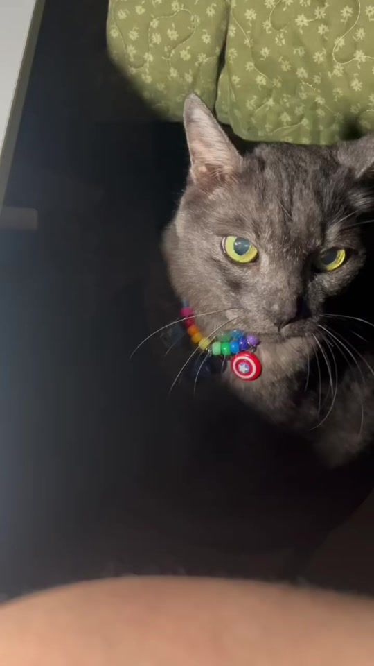 TikTok video thumbnail by shakeme95