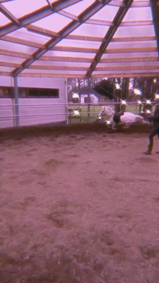 TikTok video thumbnail by equestriangorls