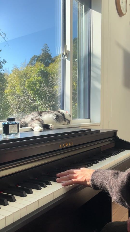TikTok video thumbnail by nyamsong.piano