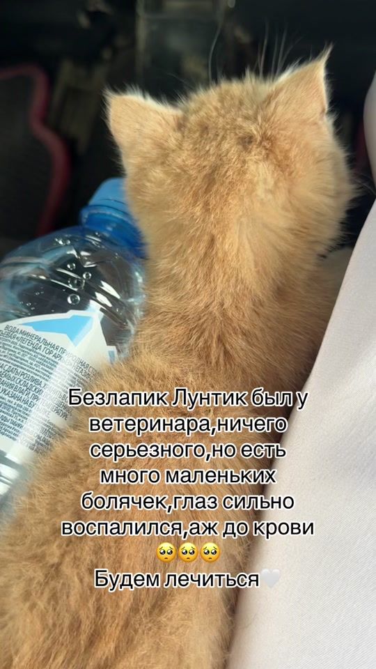 TikTok video thumbnail by iamsem_
