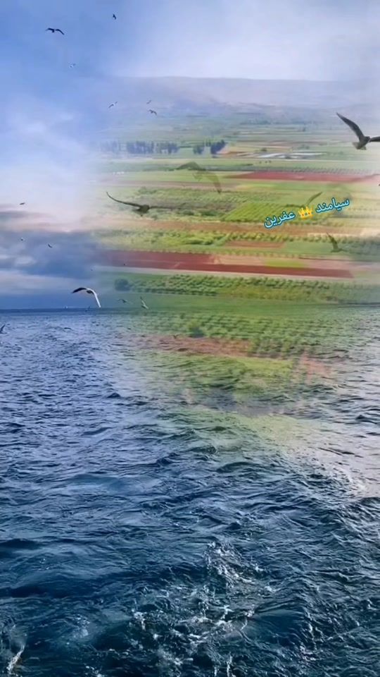 TikTok video thumbnail by afrin._3.6.6