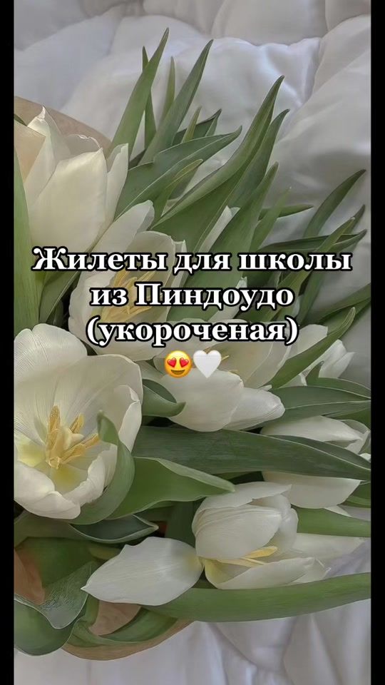TikTok video thumbnail by _pindodo_