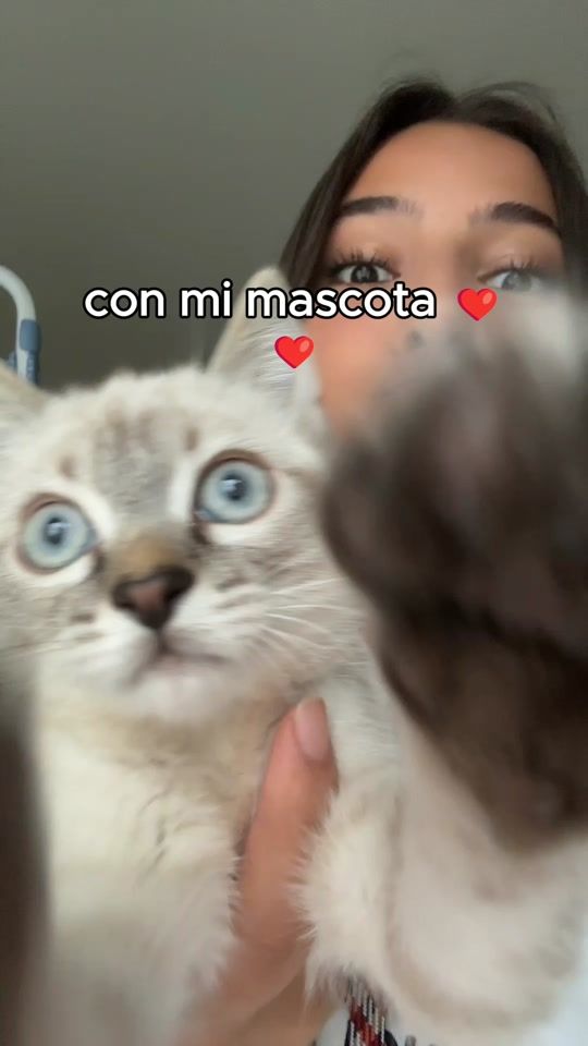 TikTok video thumbnail by rghourg