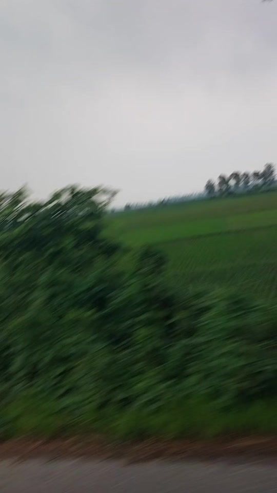 TikTok video thumbnail by n.j.a.nirob
