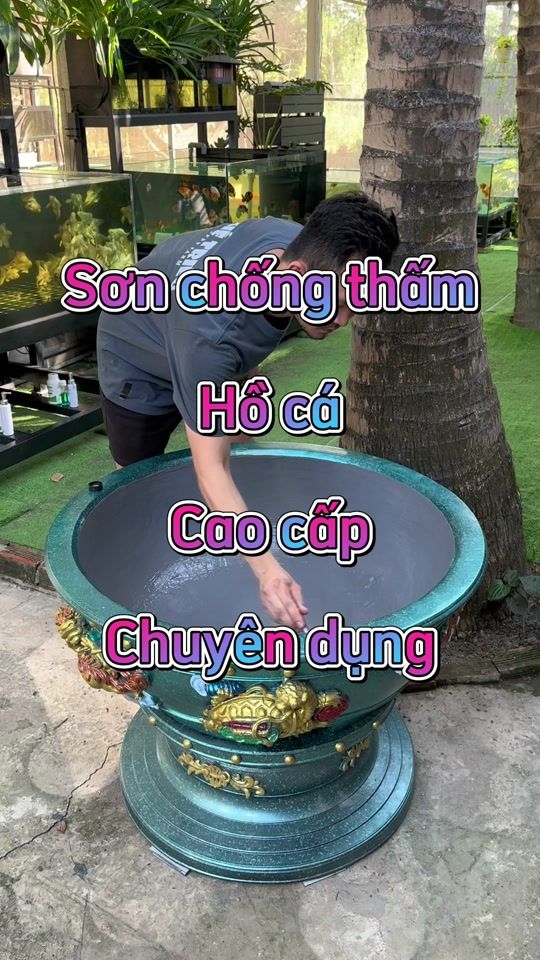 TikTok video thumbnail by thetrieuguppyfarm