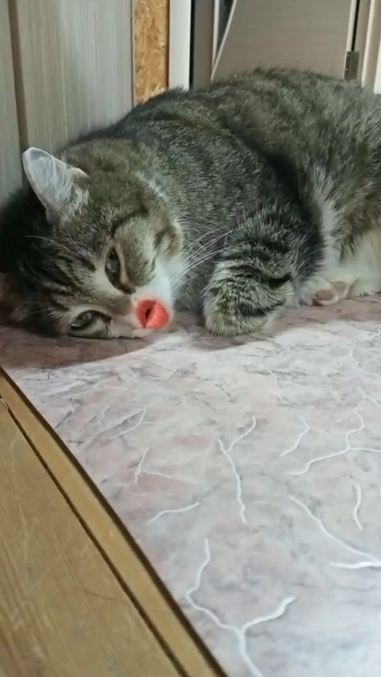 TikTok video thumbnail by nata18_18