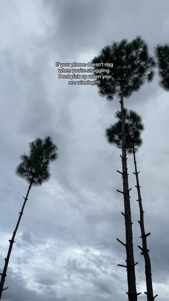 TikTok video thumbnail by sachinbhattarai365