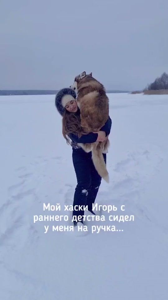 TikTok video thumbnail by in_dog_we_trust
