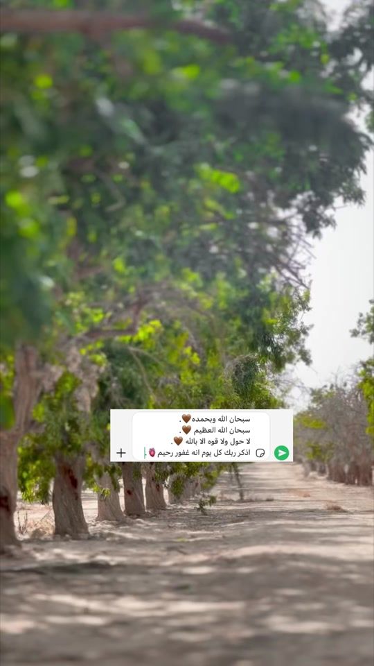 TikTok video thumbnail by _bdwe_5