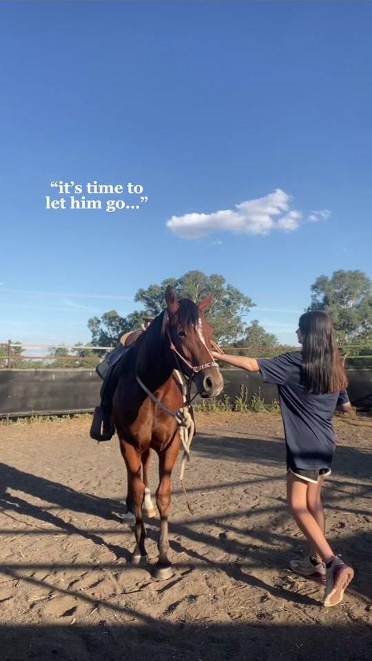 TikTok video thumbnail by alis._.ponies