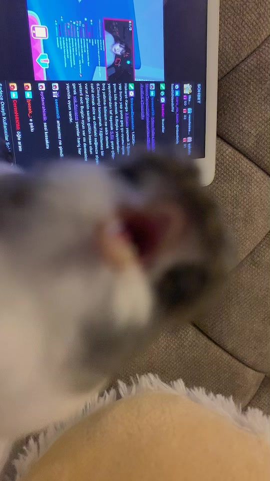 TikTok video thumbnail by duduk_brd