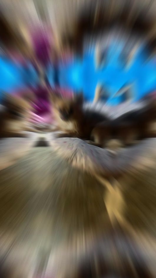 TikTok video thumbnail by muaynoi13