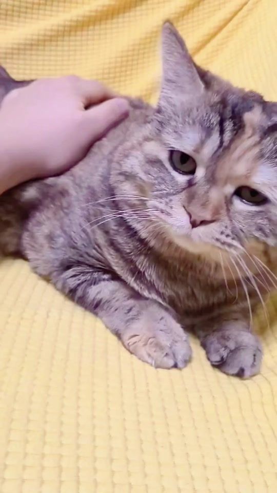 TikTok video thumbnail by ai201062m27