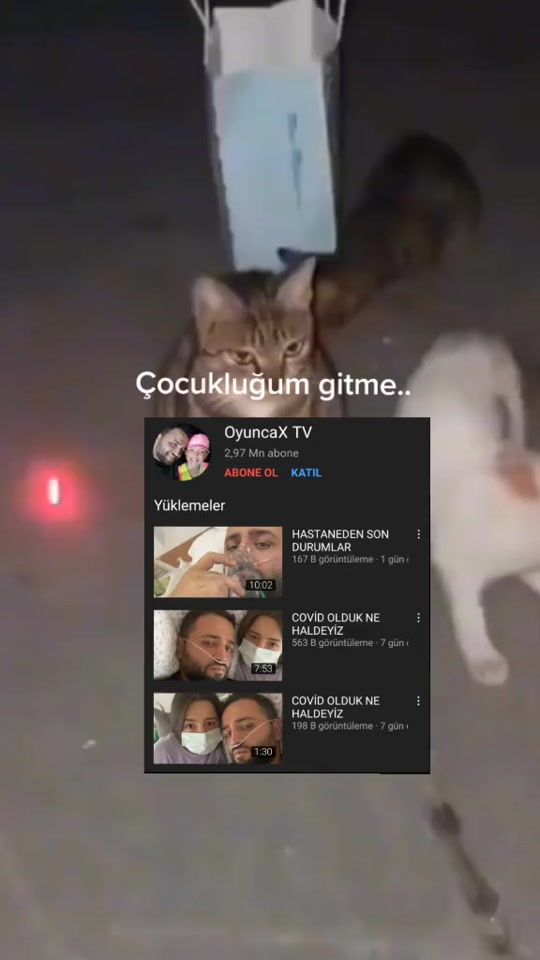TikTok video thumbnail by mizah_.reis