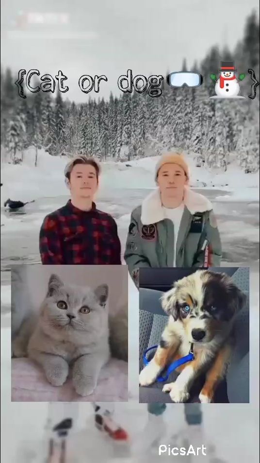 TikTok video thumbnail by harry_tinus