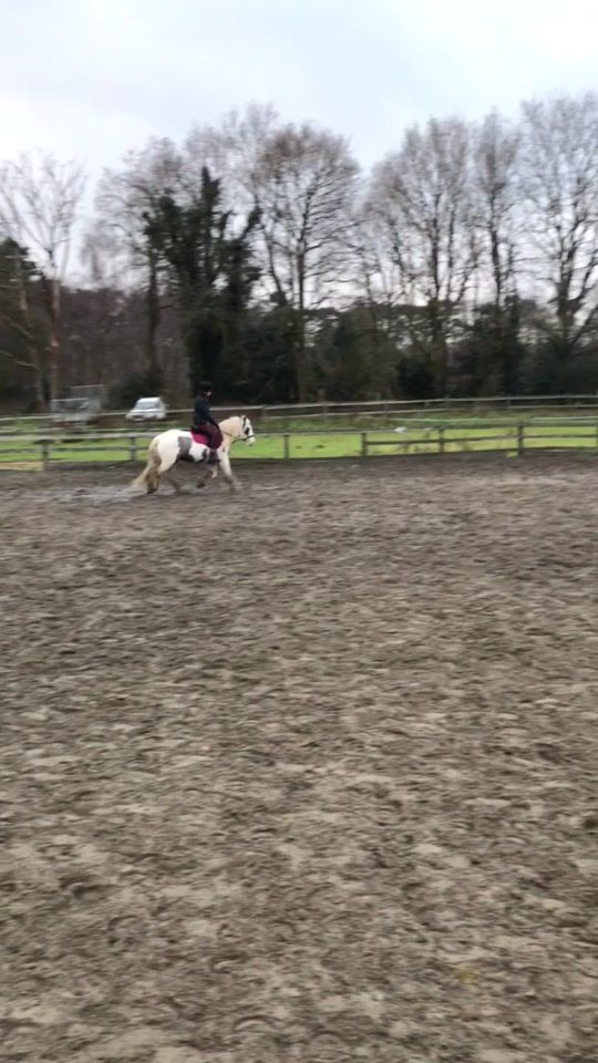 TikTok video thumbnail by tuscanysog