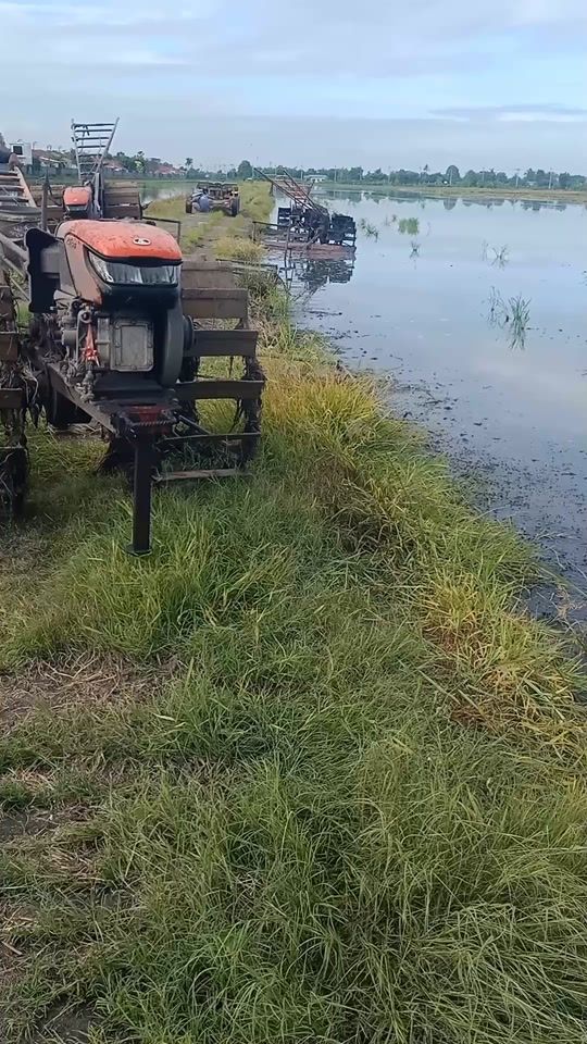 TikTok video thumbnail by ball182538