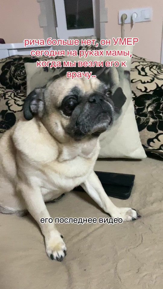 TikTok video thumbnail by girtlnn