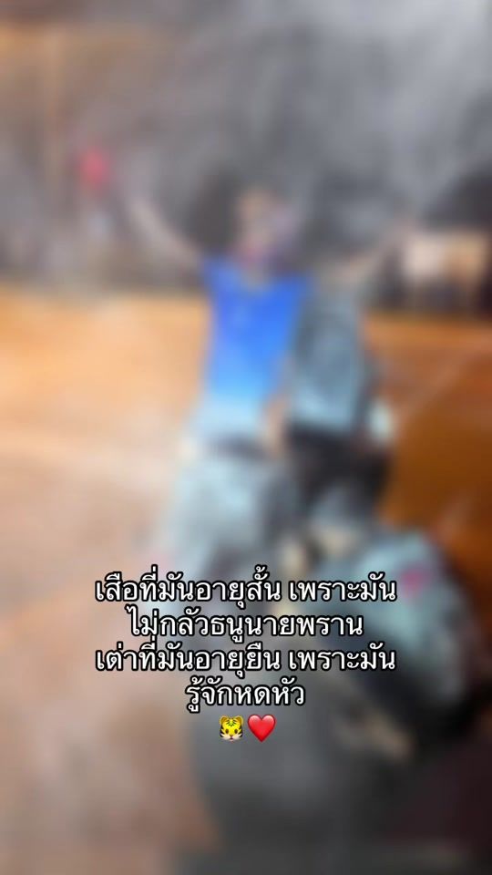 TikTok video thumbnail by oakkharachai23