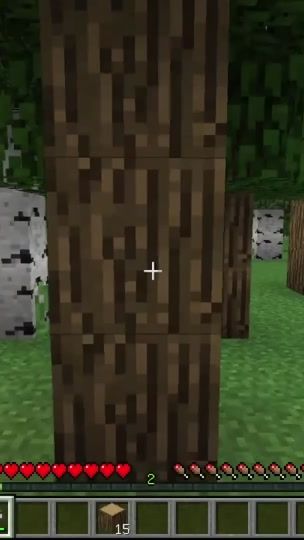 TikTok video thumbnail by ozominecraft