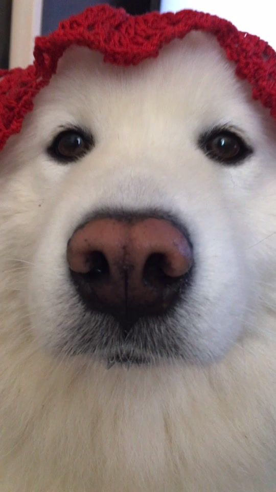 TikTok video thumbnail by marka.mira