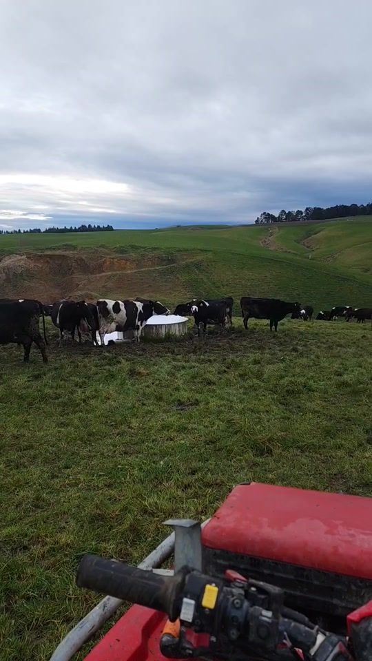 TikTok video thumbnail by thunderx0x0