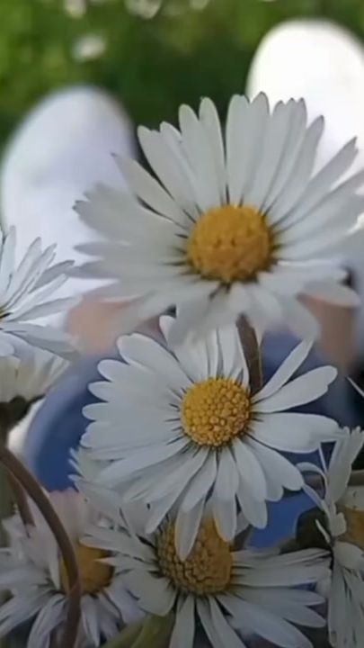 TikTok video thumbnail by kaem_969