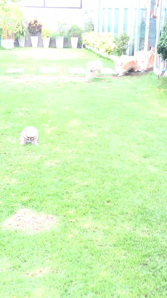 TikTok video thumbnail by party_m3151