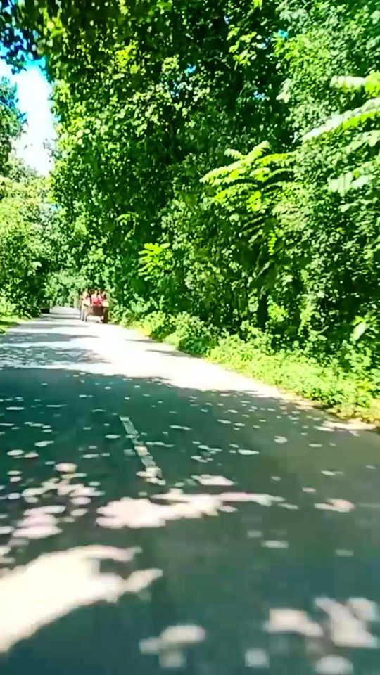 TikTok video thumbnail by heropanti1112