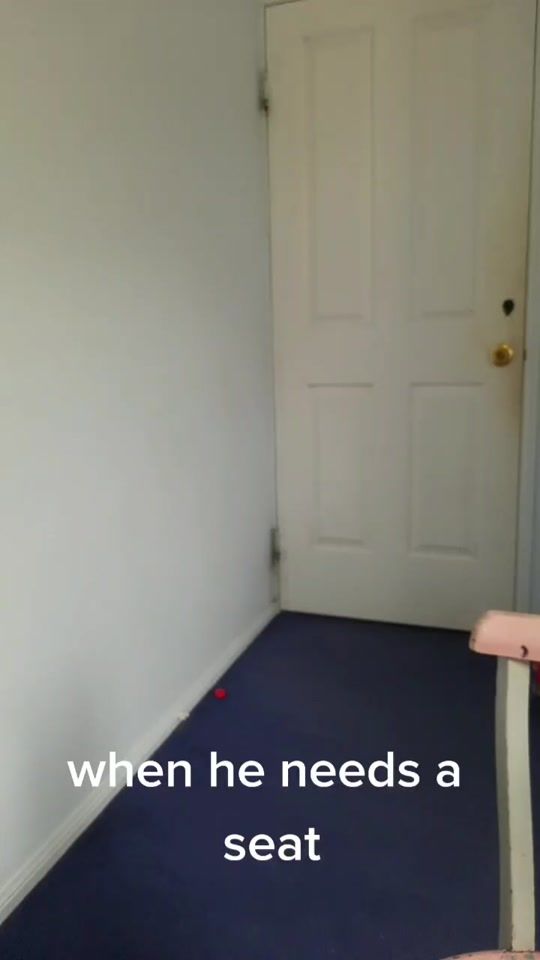 TikTok video thumbnail by double_noface666