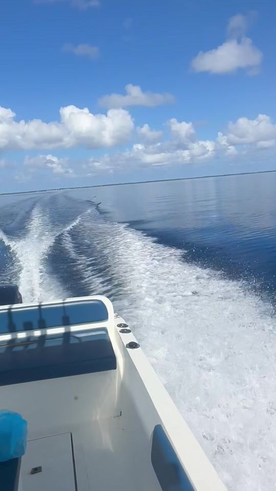 TikTok video thumbnail by tropicalexperience