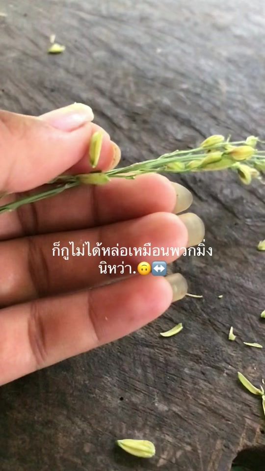 TikTok video thumbnail by kwan.natchana