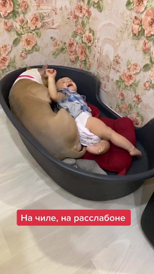 TikTok video thumbnail by dianashiva