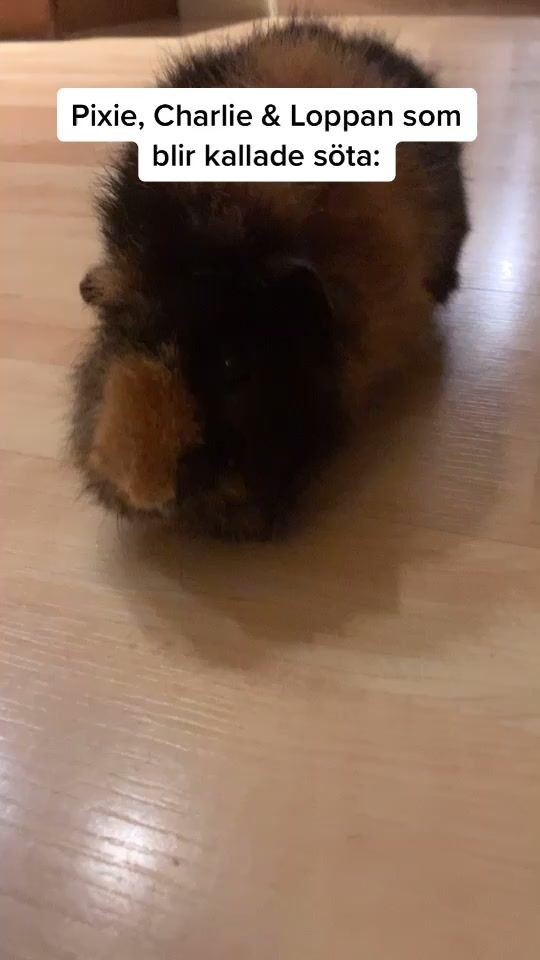 TikTok video thumbnail by marsvin0