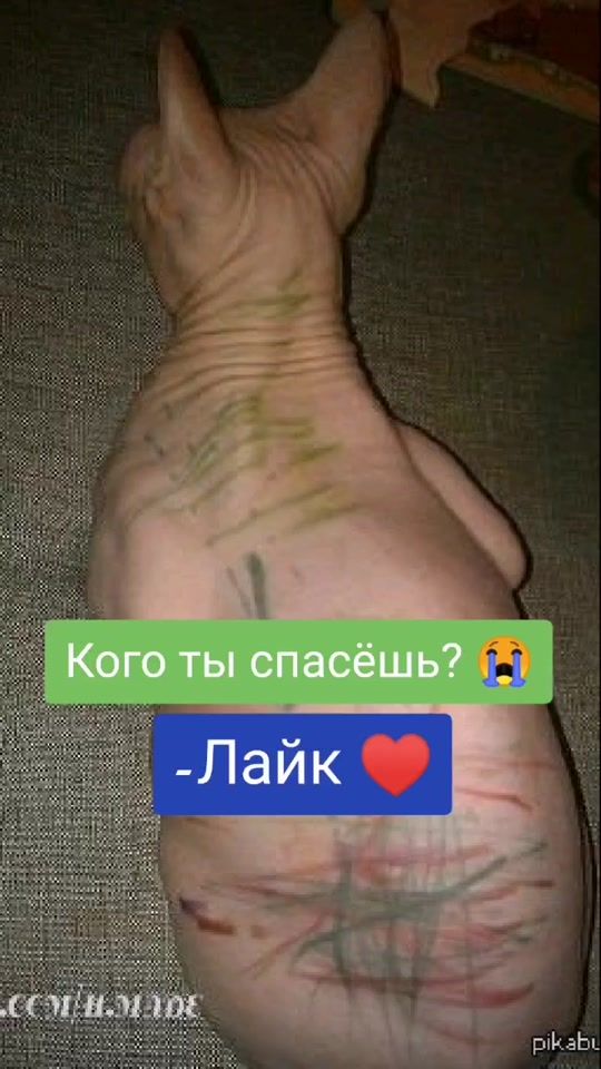 TikTok video thumbnail by sh_kipe_r