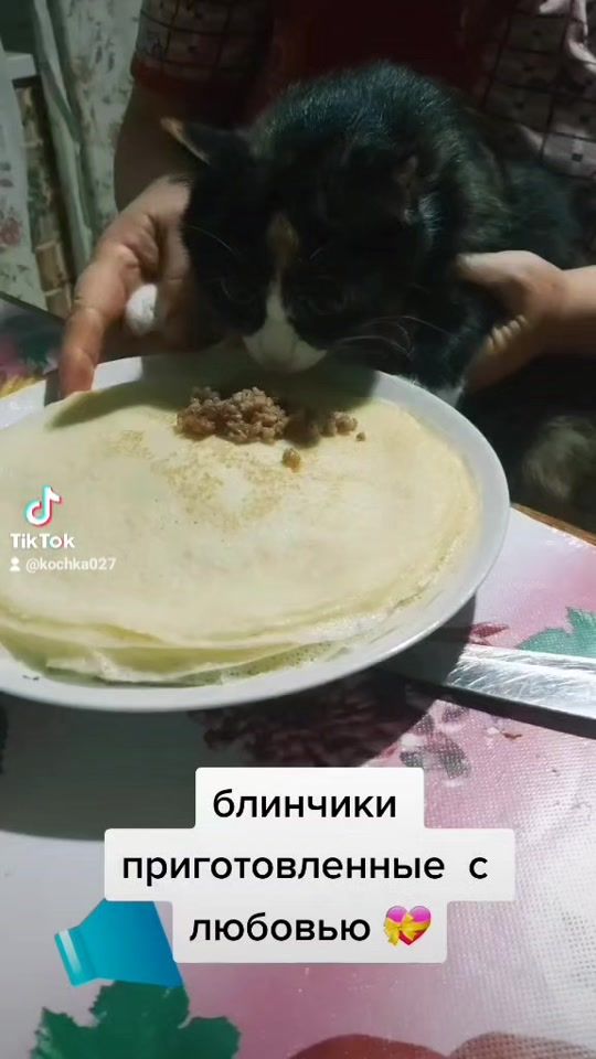 TikTok video thumbnail by kochka027