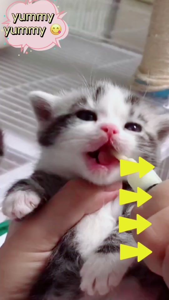 TikTok video thumbnail by cutieyes_