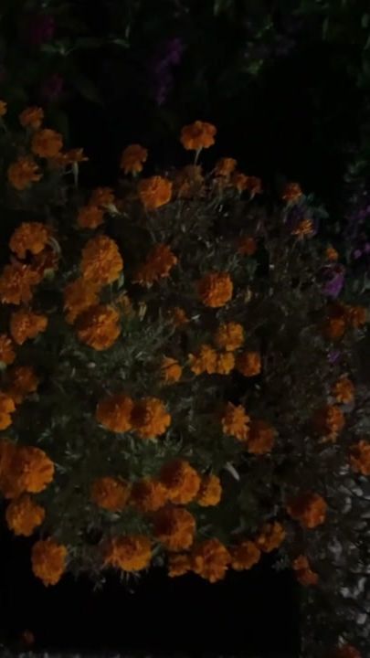 TikTok video thumbnail by _sinpd
