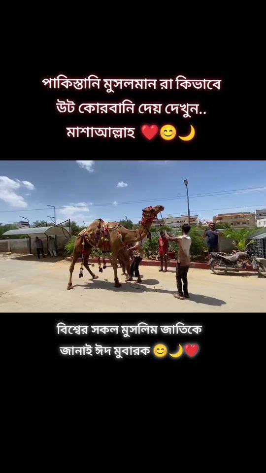 TikTok video thumbnail by emran_hasan_2