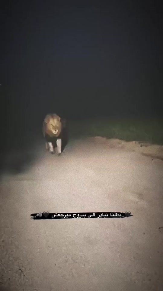 TikTok video thumbnail by x.7rs._12k