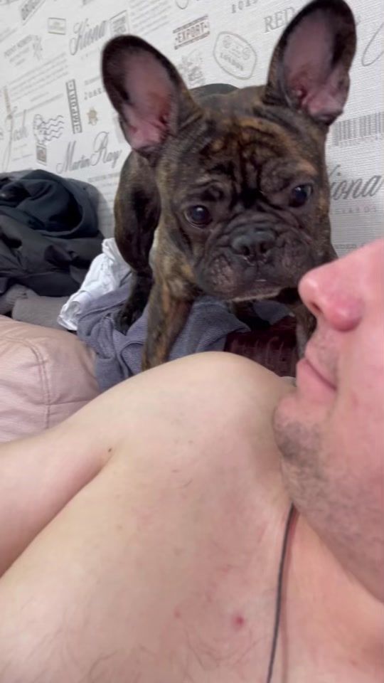 TikTok video thumbnail by frenchman_butch
