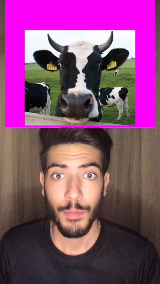 TikTok video thumbnail by raed.chehaitli