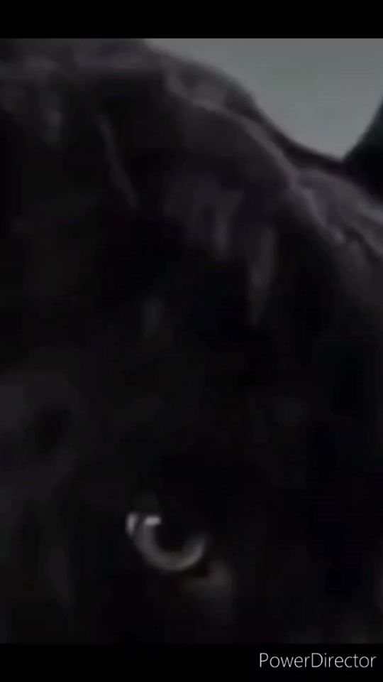 TikTok video thumbnail by im__alyonka