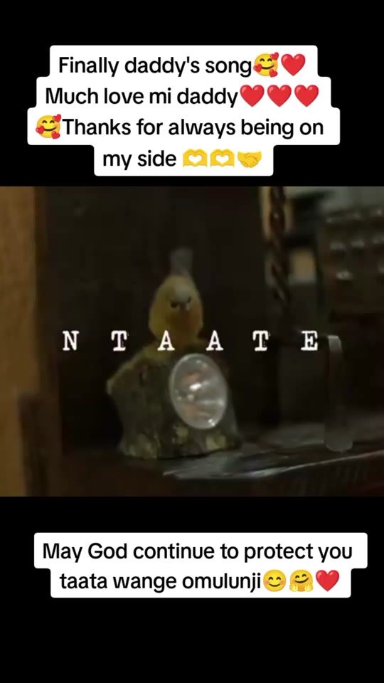 TikTok video thumbnail by usermaamajordan