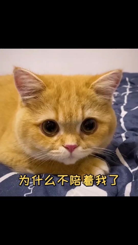 TikTok video thumbnail by yx_826_st